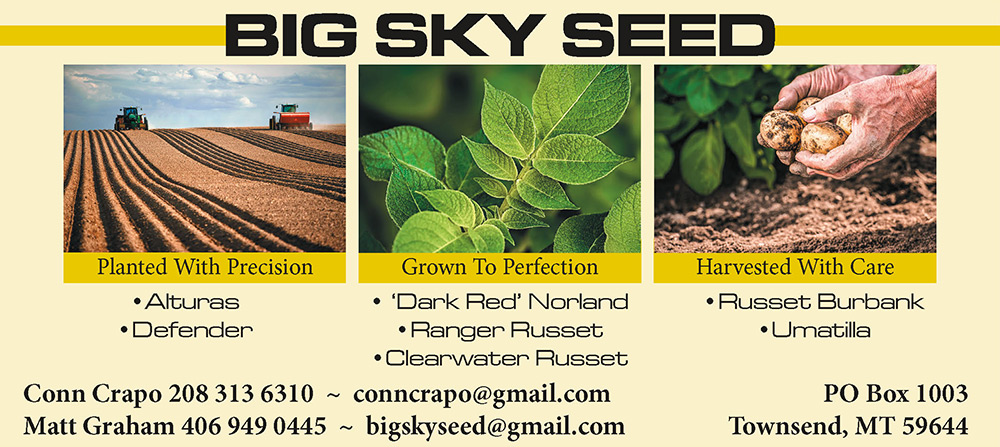 Big Sky Seed Advertisement