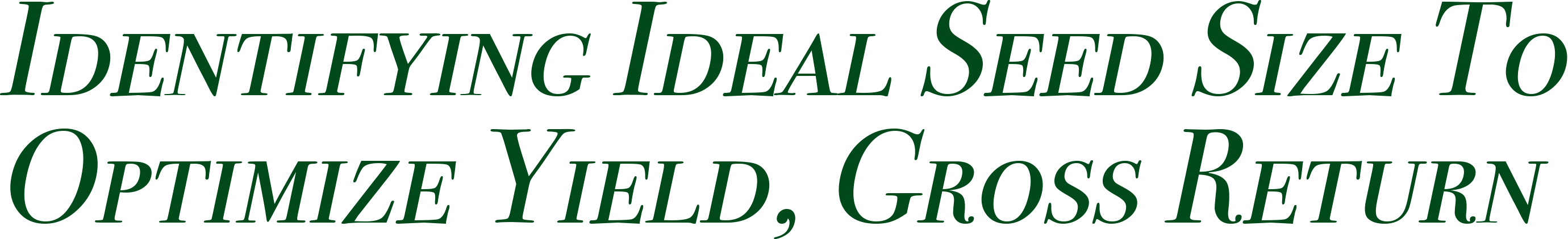 "Identifying Ideal Seed Size To Optimize Yield, Gross Return" in green serif font