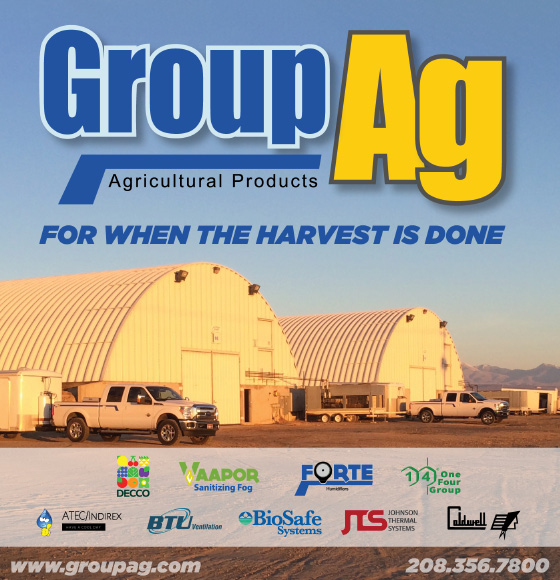 Group AG Advertisement