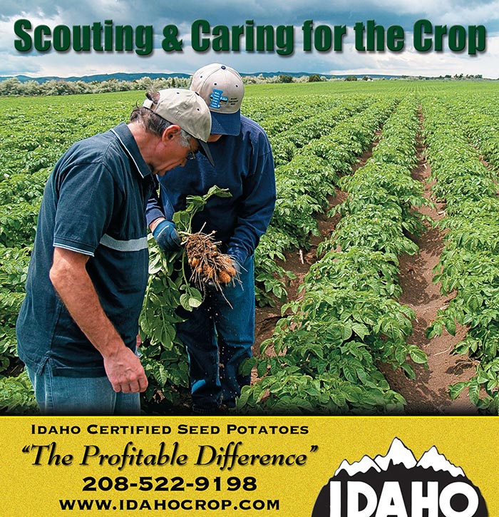 Idaho Crop Improvement Association Advertisement