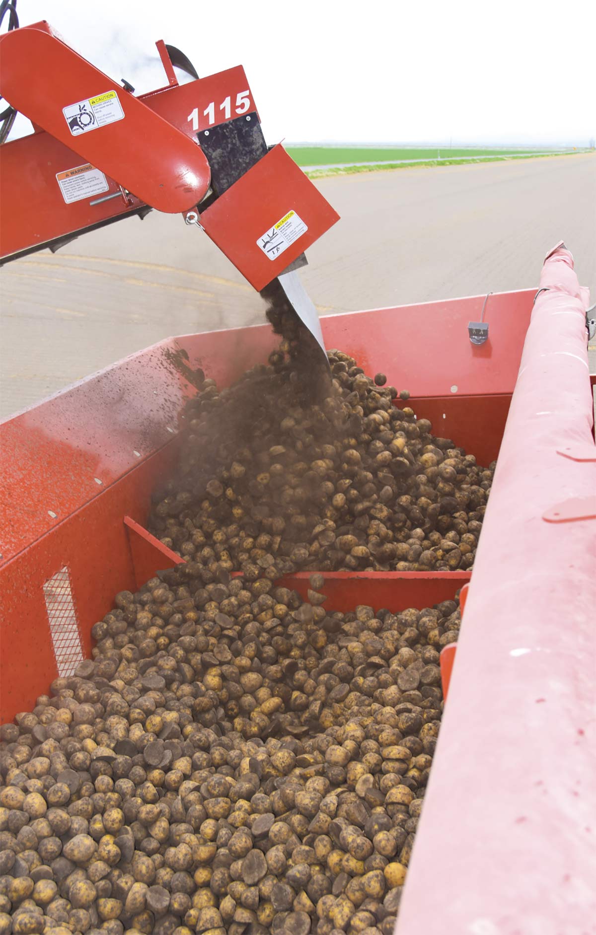 A portrait photograph of potato seeds being loaded prior to planting in spring of 2022 in Klamath Valley.