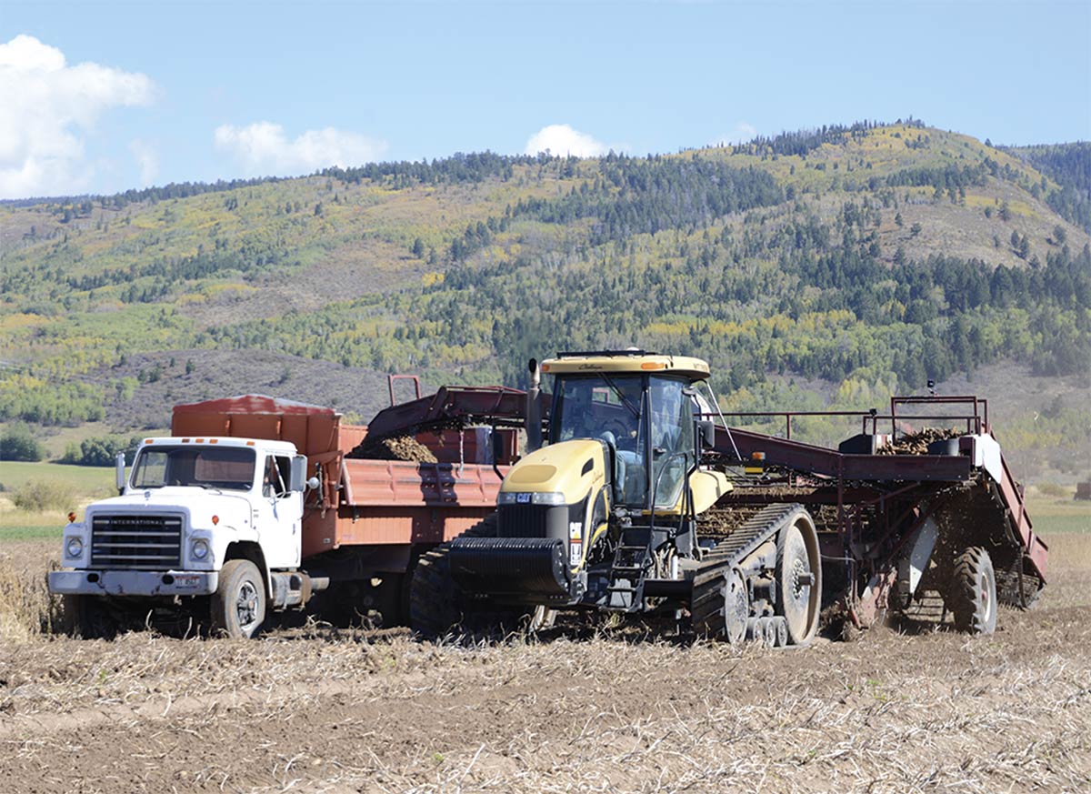 A landscape photograph of seed potato crop being harvested in Idaho's Teton Valley.