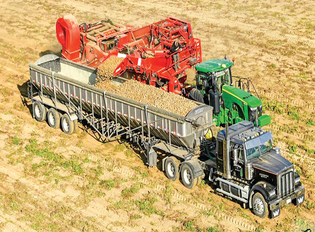 A landscape photograph of a green tractor distributing/dumping seed grains into the back trailer of a black semi-truck on the brown field
